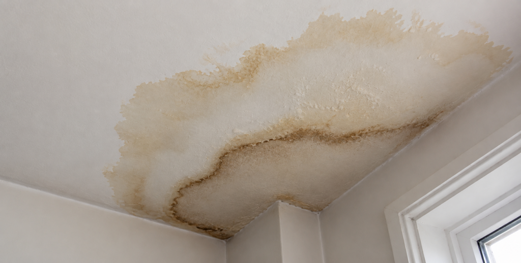 “Water-damaged ceiling corner with large brown moisture stains and peeling paint near a window, showing signs of a roof leak or damp issue.”