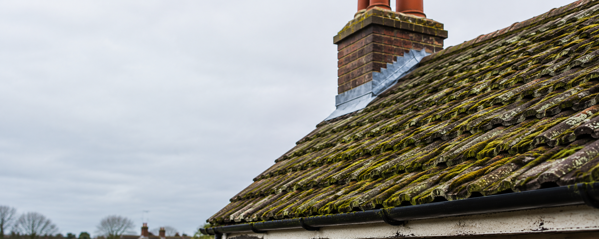 Green moss and algae growing across weathered roof tiles on a traditional UK pitched roof